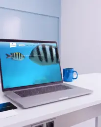 Webseite für Anwälte