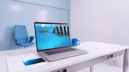 Webseite für Anwälte