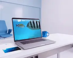 Webseite für Anwälte