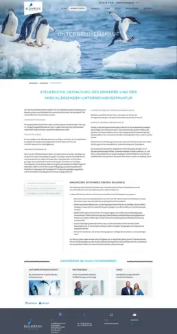 Webseite für Anwälte